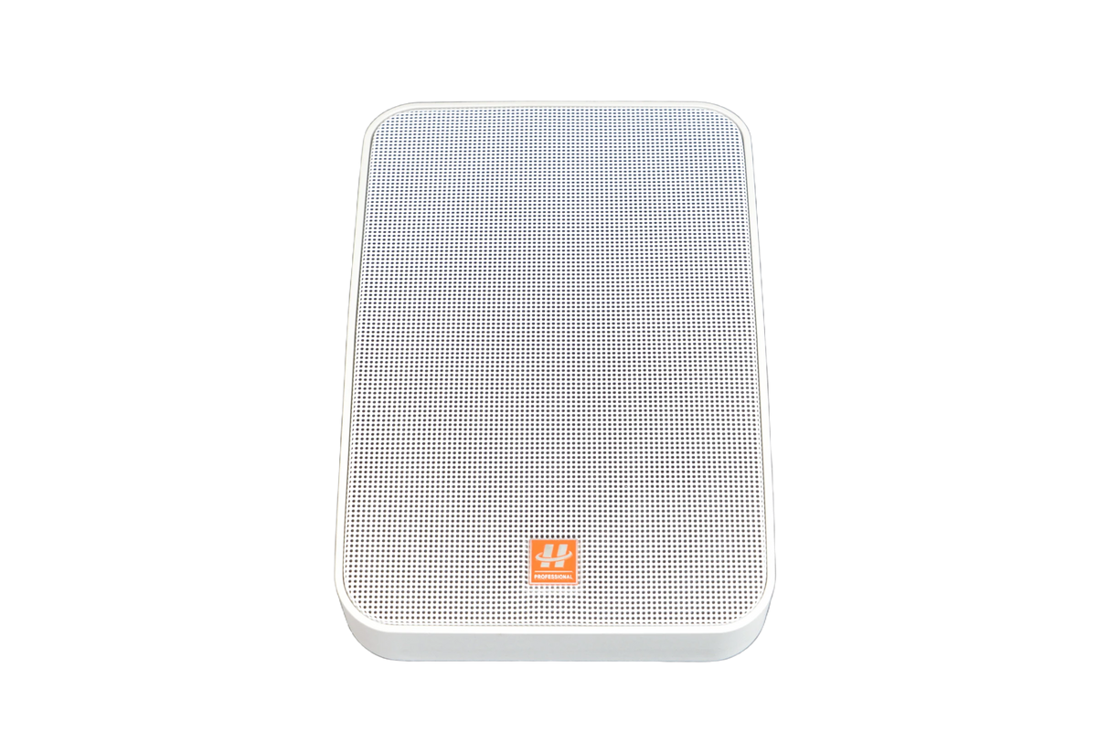 HUSHAN_PUBLIC_ADDRESS_20260720|wall-mount-speaker-bgs-15w|real-source|BGS-15W real product source image